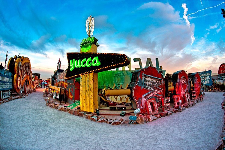The Neon Museum