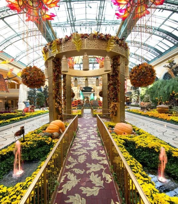 Conservatory & Botanical Garden