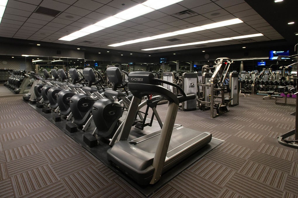 The Mirage Hotel and Casino