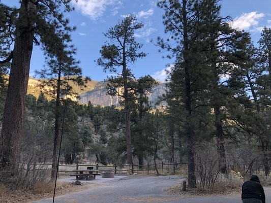 Camp at the Fletcher View Campground