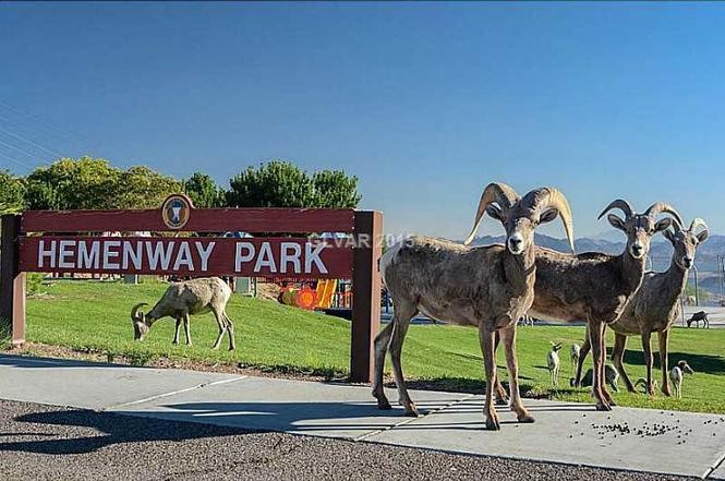 Hemenway Valley Park Picnic