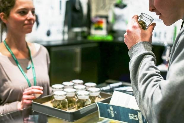 Do you have any new products on the menu?