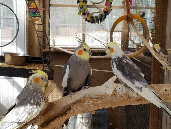 Gilcrease Nature Sanctuary