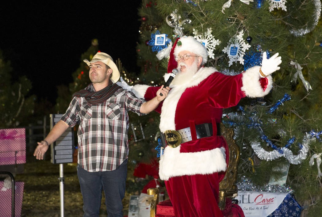 Christmas Fantasy Forest