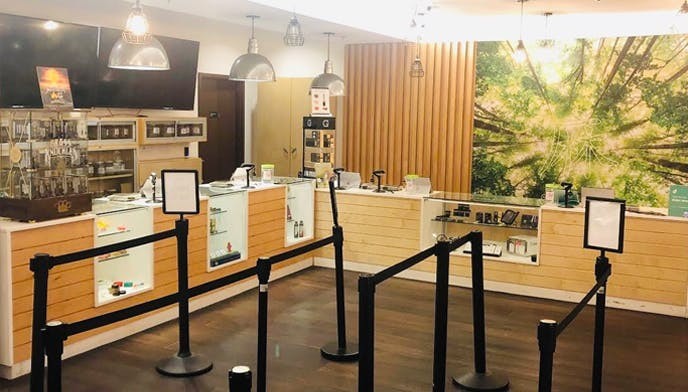 Oasis Cannabis