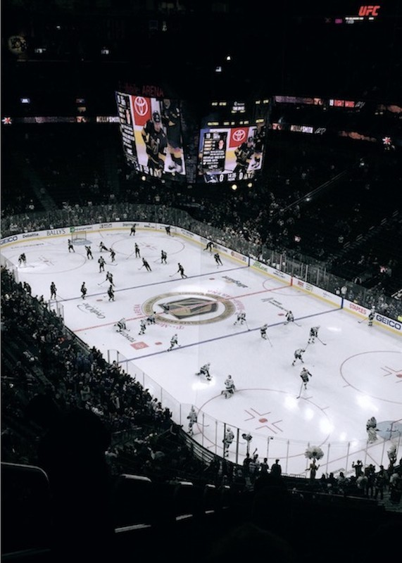The Fortress