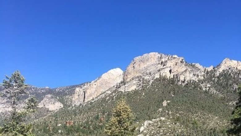 5 Best Nature Trails in Las Vegas