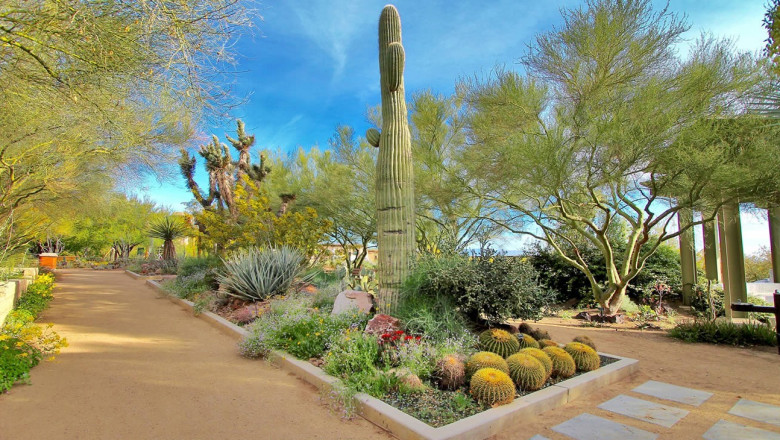 Where to Have a Picnic in Las Vegas