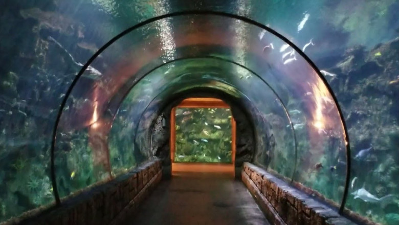 Where to Take Your Kids in Las Vegas